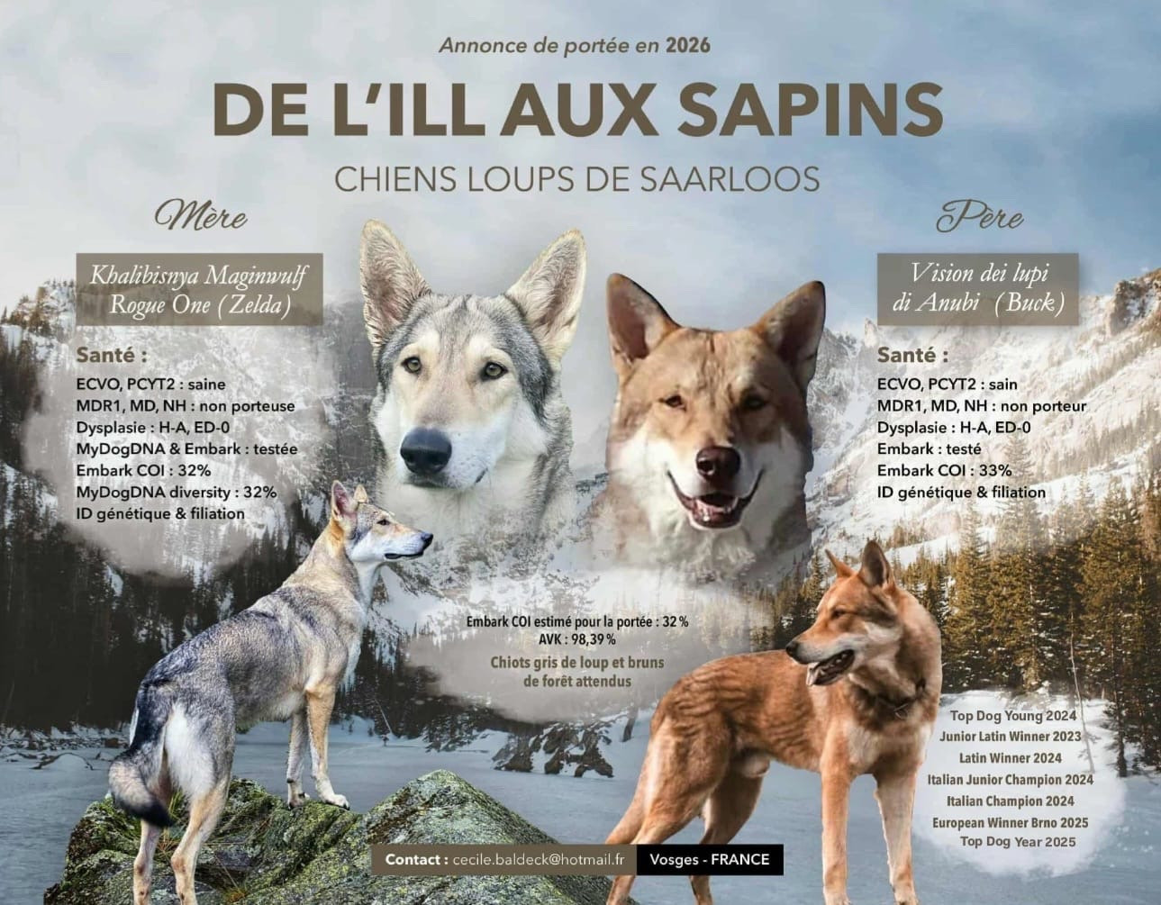 Annonce de portée 2026